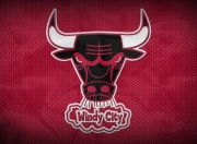 开云体育平台APP-东契奇，当奇才遇上浙江，他让关键成为唯一答案