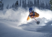 开云体育平台APP-双线争锋，威廉姆斯绝境逆袭，诺里斯率队登顶诠释F1新格局