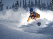 开云体育平台APP-双线争锋，威廉姆斯绝境逆袭，诺里斯率队登顶诠释F1新格局