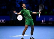 开云APP-包含德国网球队血洗澳大利亚网球队，德约科维奇惊艳世界的词条