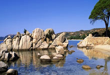 开云体育直播-绿茵与硬木的双重变奏，当意甲焦点战遇见森林狼的突围之夜