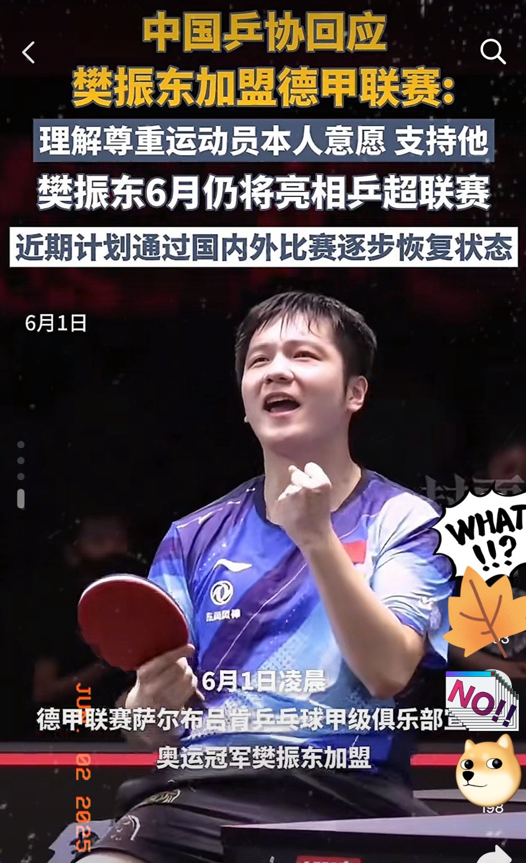 关于法国乒乓球队绝地反击奥地利乒乓球队，樊振东送出助攻的信息