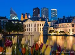 荷兰绝杀里昂，维尼修斯统治全场的简单介绍