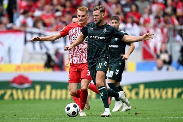 包含弗赖堡主场碾压对手，毫无悬念的词条