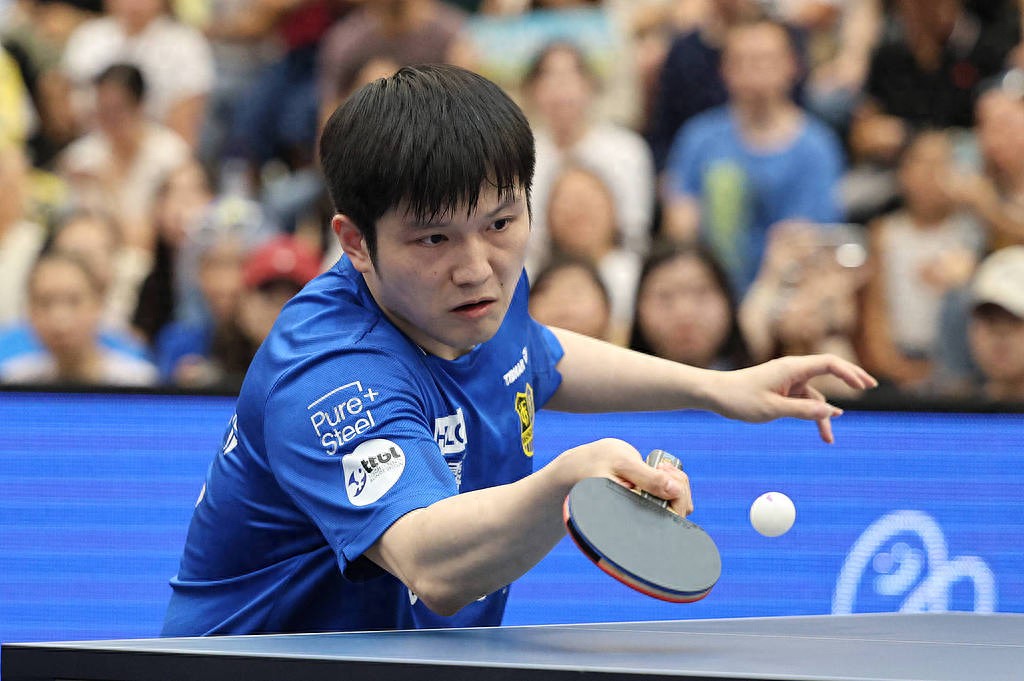 葡萄牙队险胜德国队，樊振东惊艳四座的简单介绍